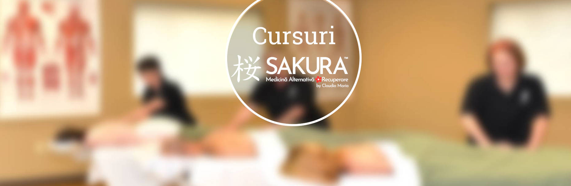 Cursuri terapii by Centrul Sakura Bucuresti